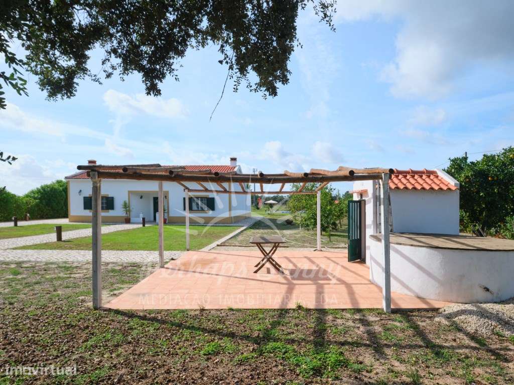 Quinta V6 - Grândola - Grande imagem: 3/60