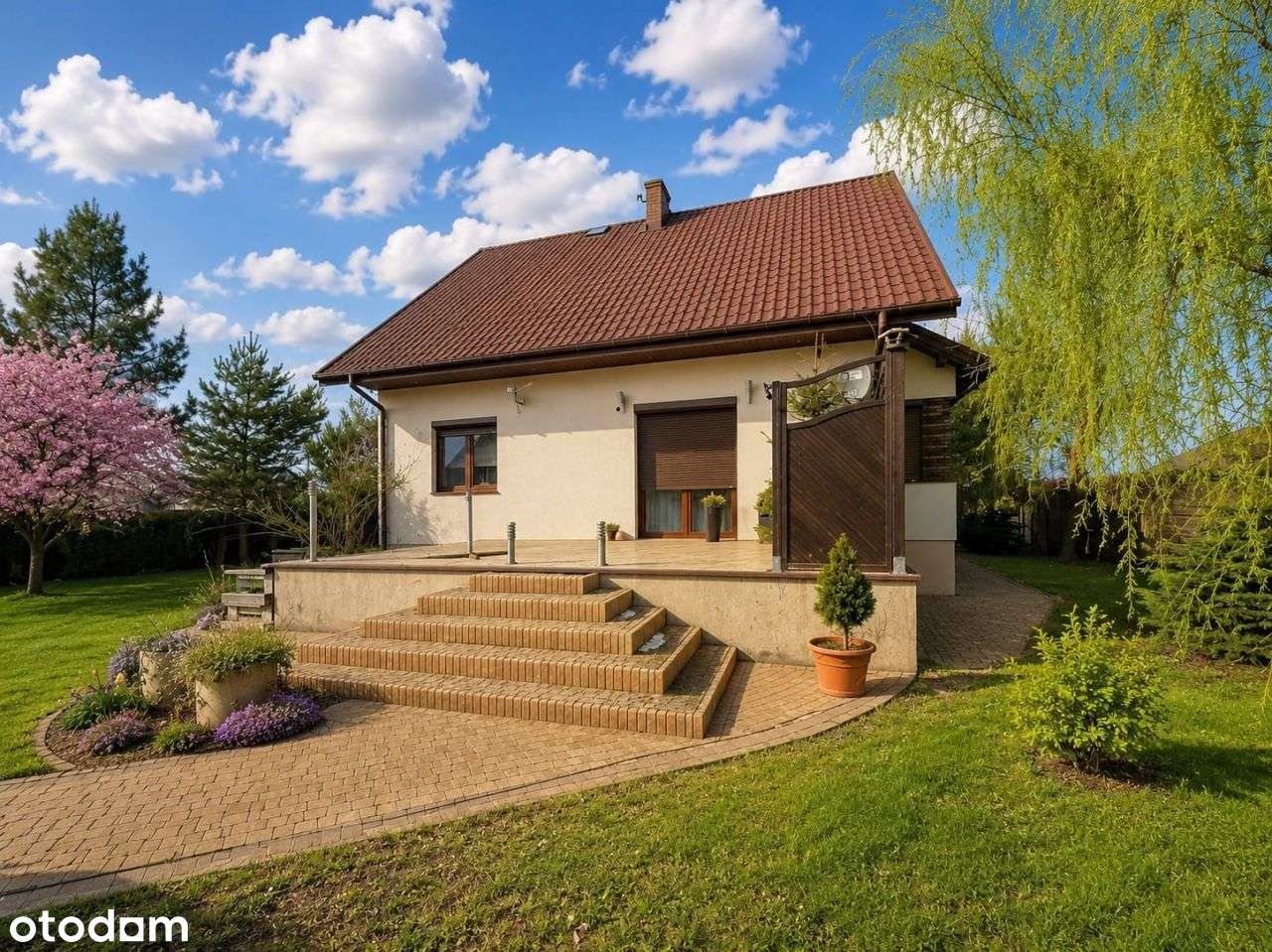 Dom w Rogowie na sprzedaż na działce 1,5 ha