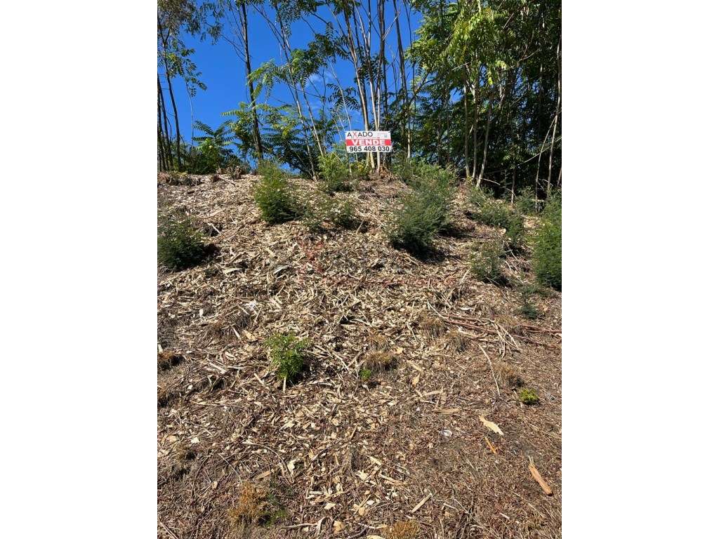 Terreno rústico - Grande imagem: 4/6