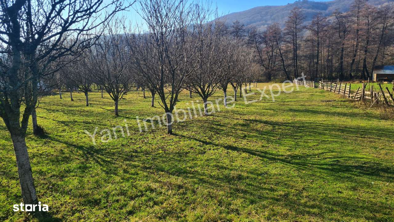 Teren de vânzare în comuna Corbi, județ Argeș.-11