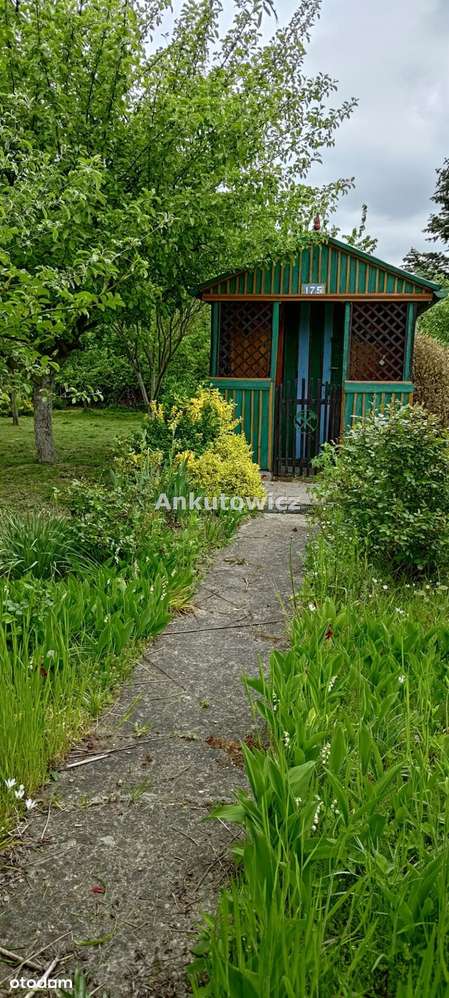 Działka ROD Barbara-3