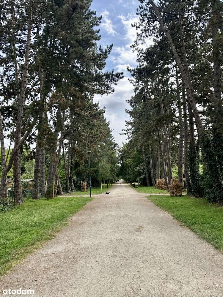 Osiedle Ogród, cisza, spokój i zieleń, Wysoki Standard !!-13