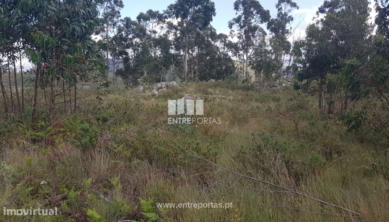 Venda Terreno, Sande, Marco de Canaveses - Grande imagem: 2/8