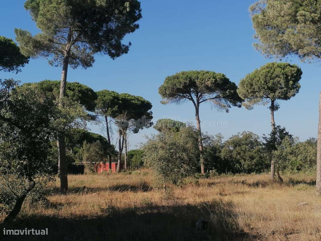 Terreno para cosntrução na Lagoa de Albufeira-3