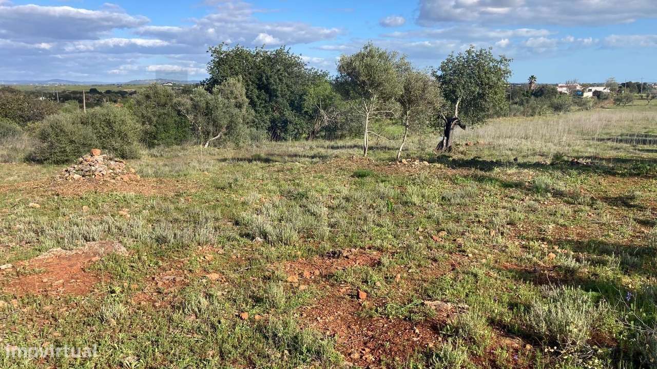 TERRENO com 9840 m2 - Grande imagem: 4/11