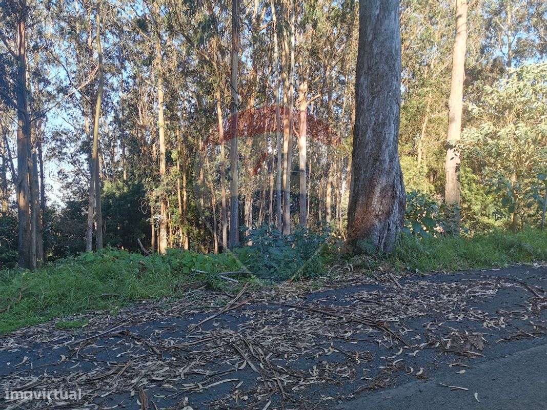 Terreno  para venda - Grande imagem: 2/5