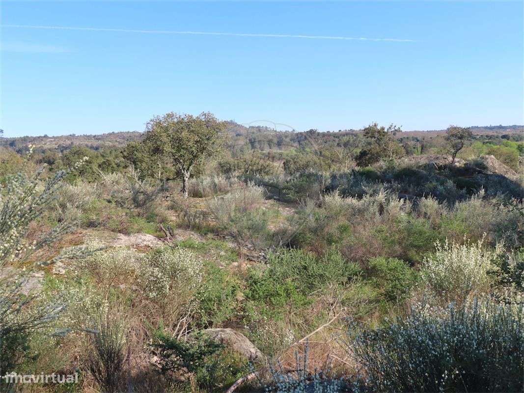 Quinta  para venda - Grande imagem: 5/19