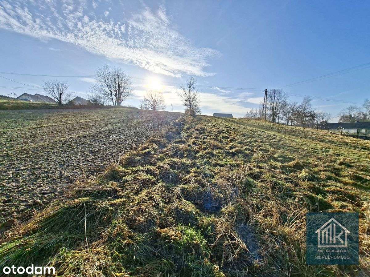 Działki budowlane Szarów gm. Kłaj szeroka 29m-1