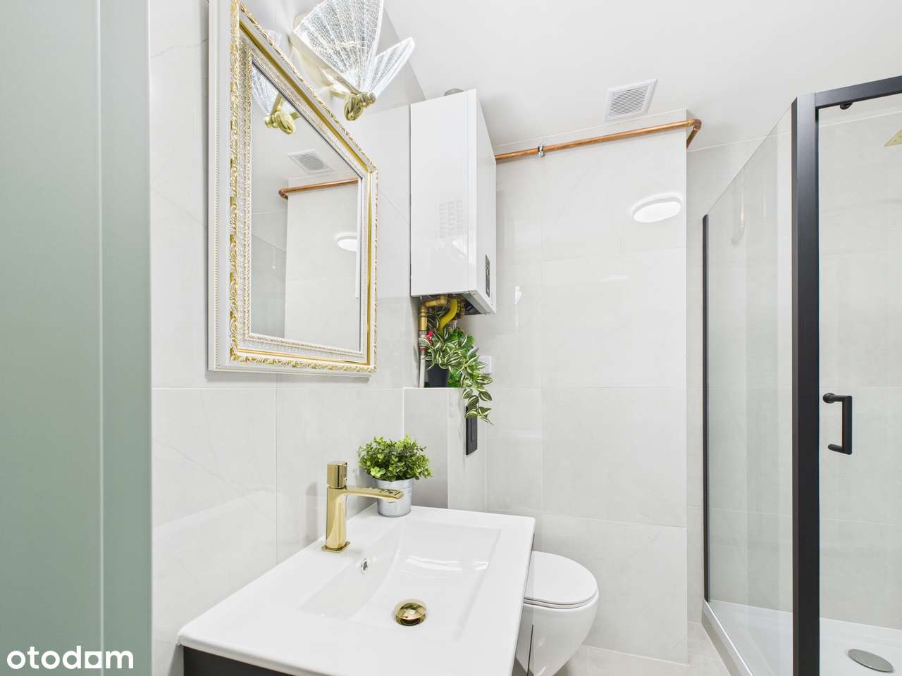 Kalisz, mieszkanie dwa pokoje, 1 p. do wprowadzenia.-8