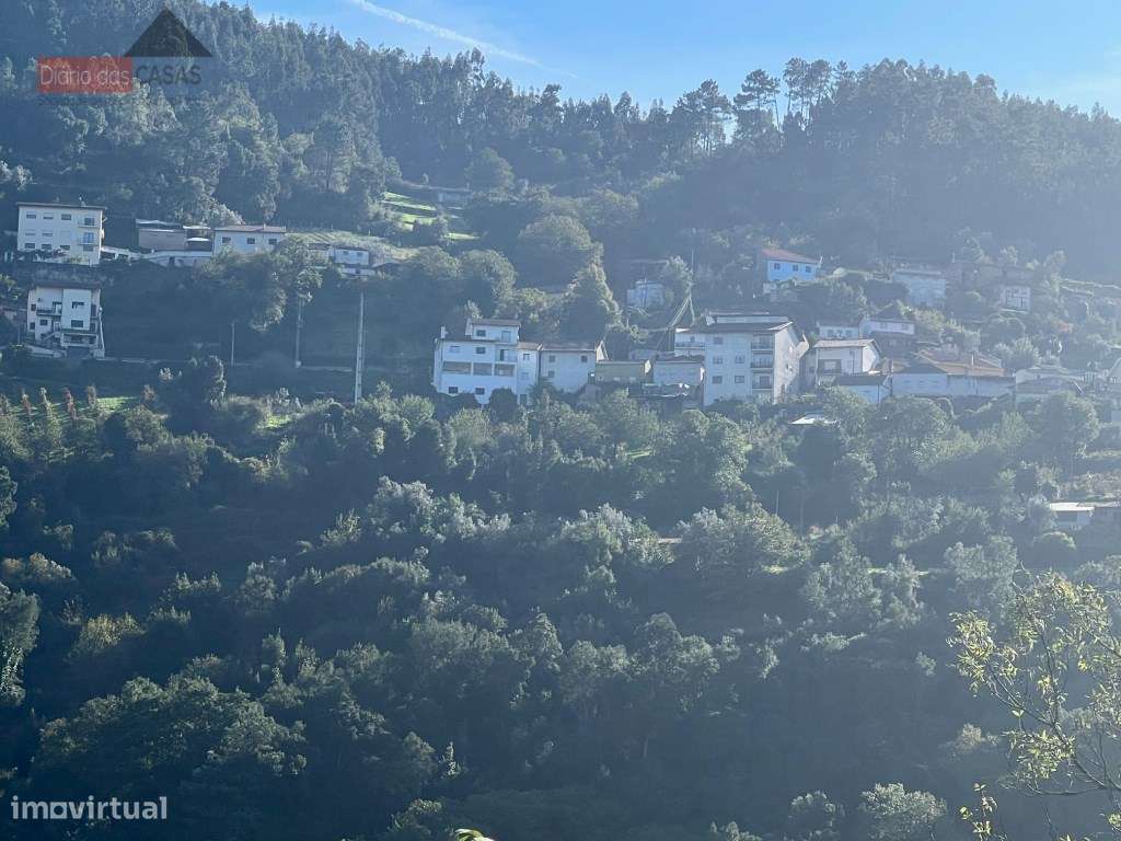 Lagar em Coimbra - Torres do Mondego (Coimbra) Portugal-13