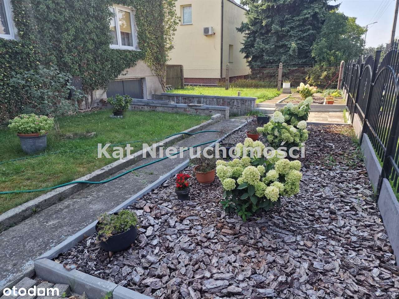 Psie -Pole - dom na sprzedaż-5