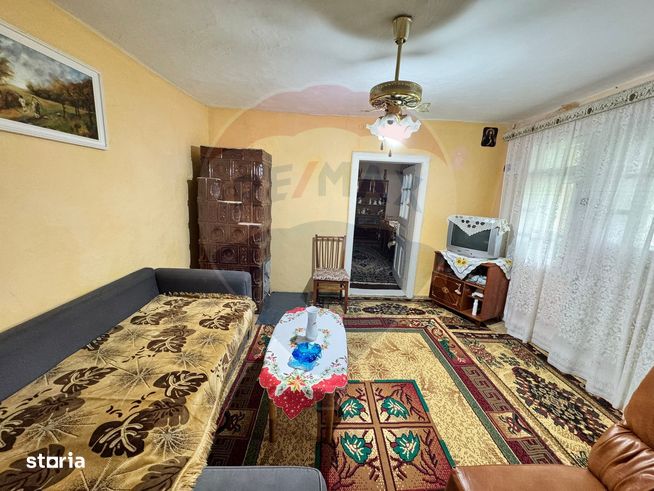 Casă traditionala cu potential de vânzare-HEMEIUS-2