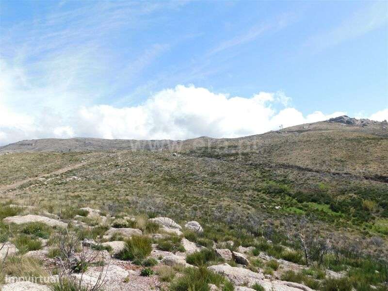 Terreno / Seia, Seia - Grande imagem: 5/7