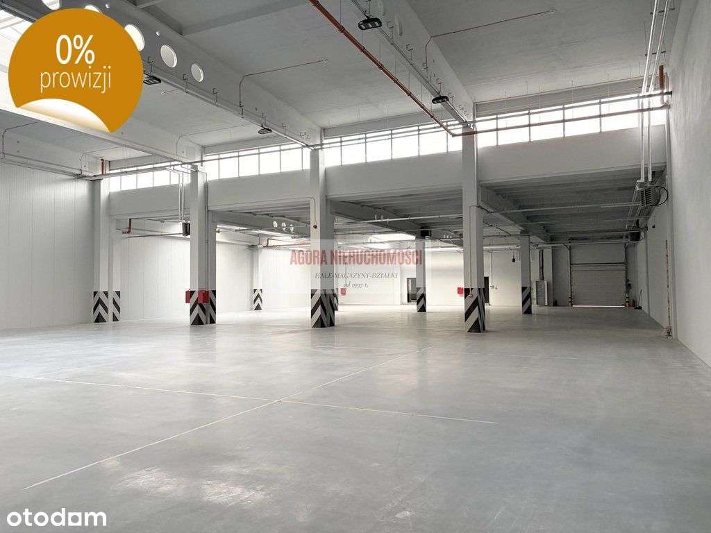 Rybitwy Hala Prod. Magazyn 1200 m2 + biura, - Pełny obrazek: 2/10