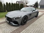 Mercedes-Benz AMG GT Standard - 1