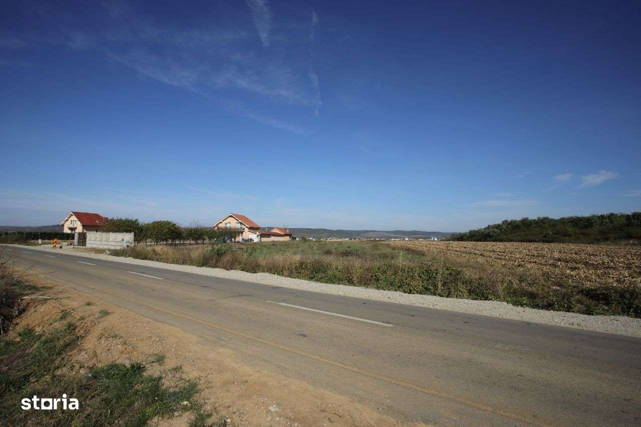 Teren de vânzare în Alparea - 6938mp parcelabil - Imagine principală: 3/4