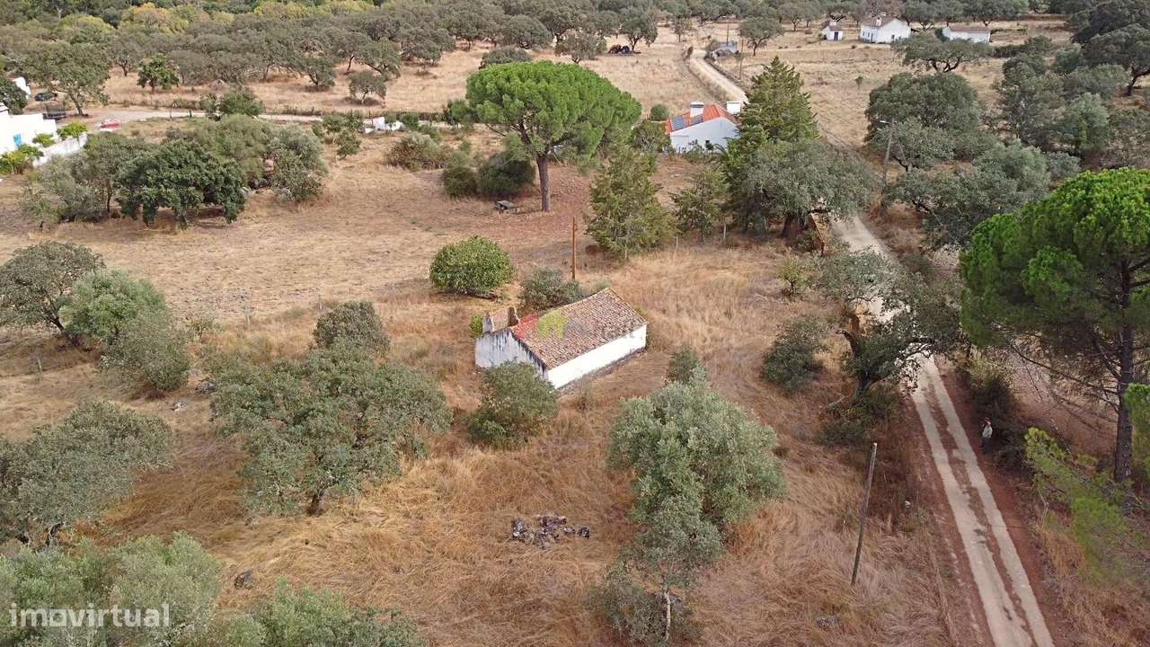 Venda Quinta/Herdade - Grande imagem: 5/30