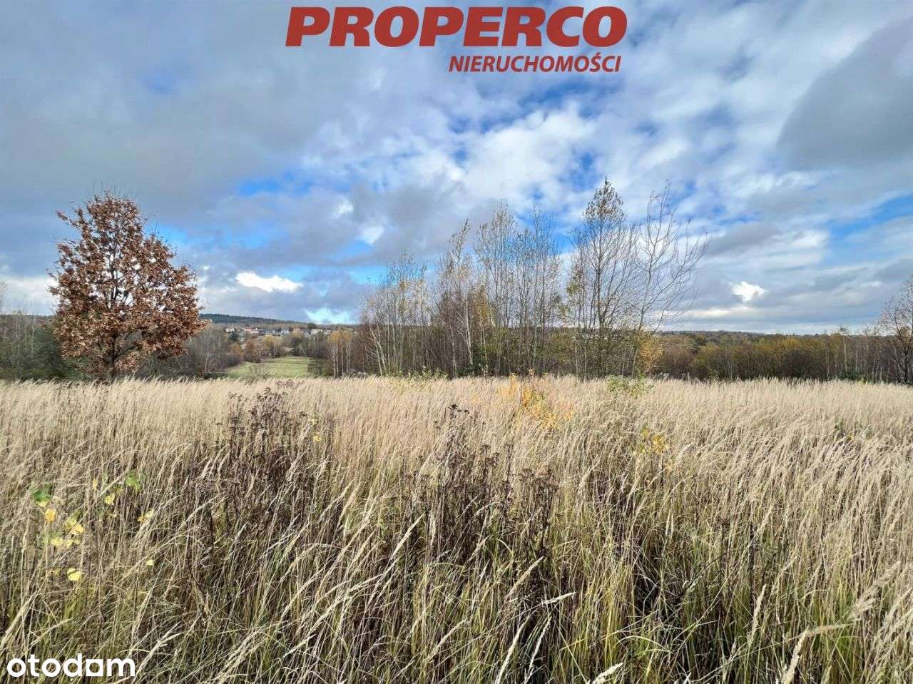 Działka 1517 m2, Masłów Pierwszy, gm. Masłów - Pełny obrazek: 5/5