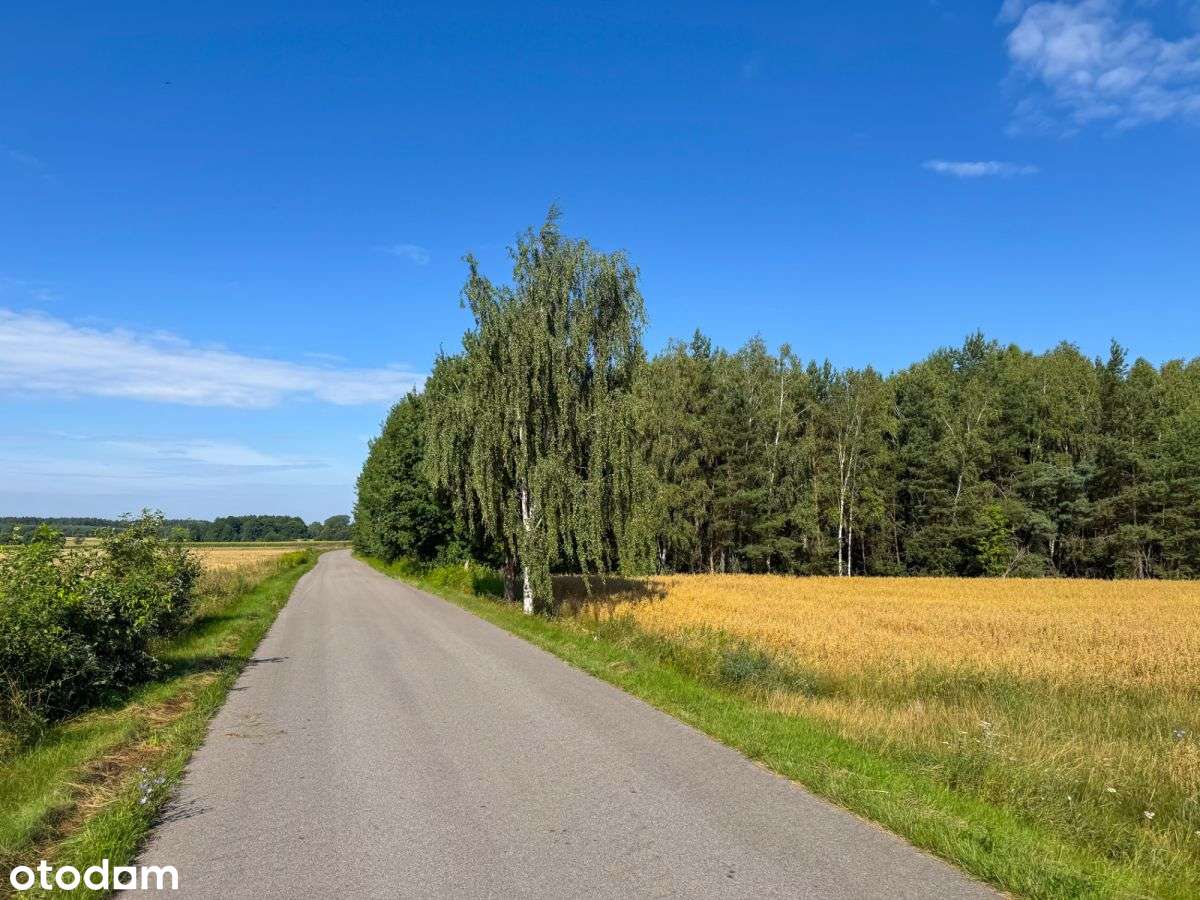 Osada Leśna Polana - Twój azyl wśród natury - Pełny obrazek: 4/12