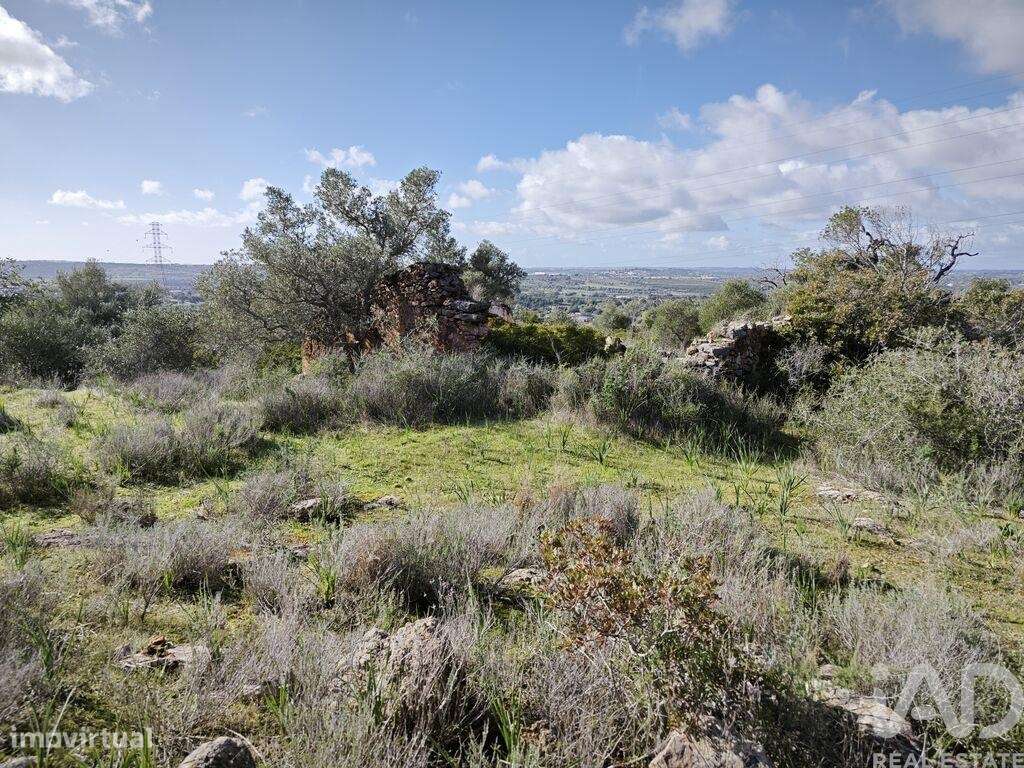 Terreno para construção em Algoz e Tunes - Grande imagem: 2/8