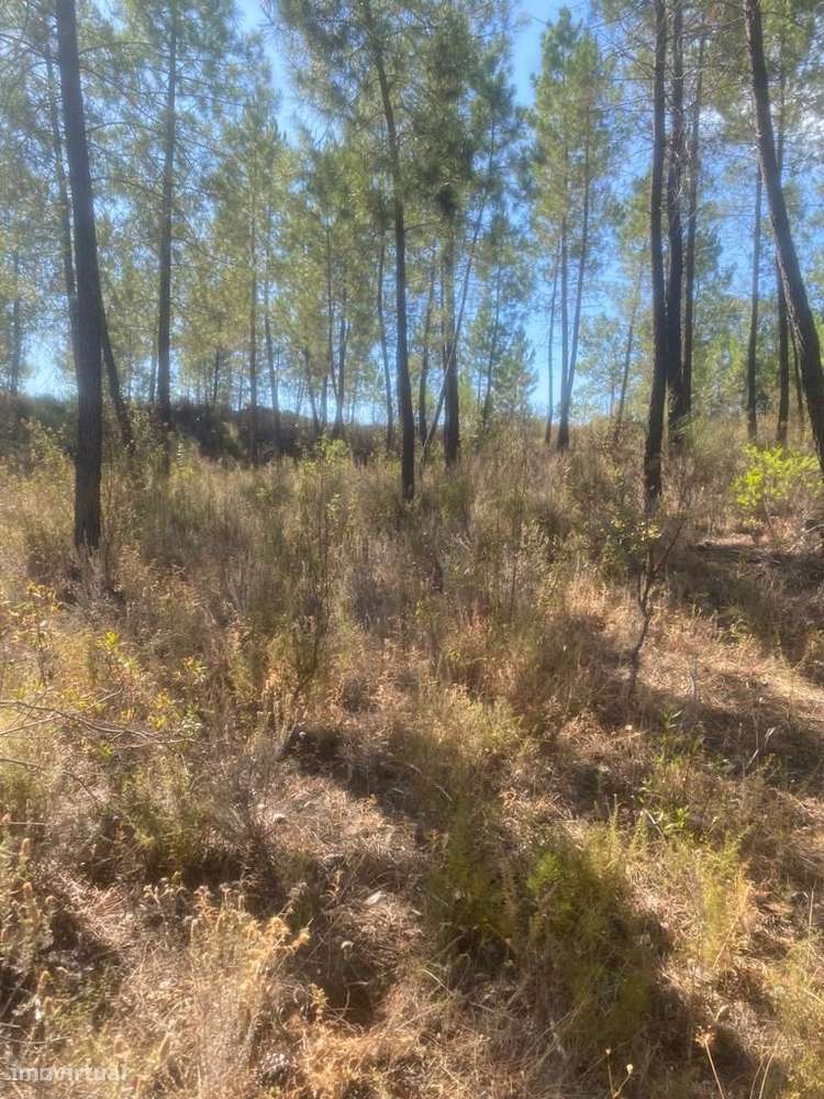 Terreno - Grande imagem: 5/9