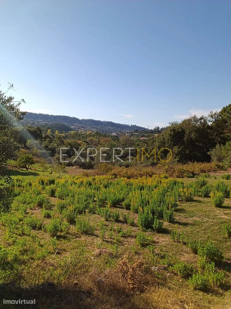 Terreno para construção Pombal Distrito de Leiria - Grande imagem: 5/13