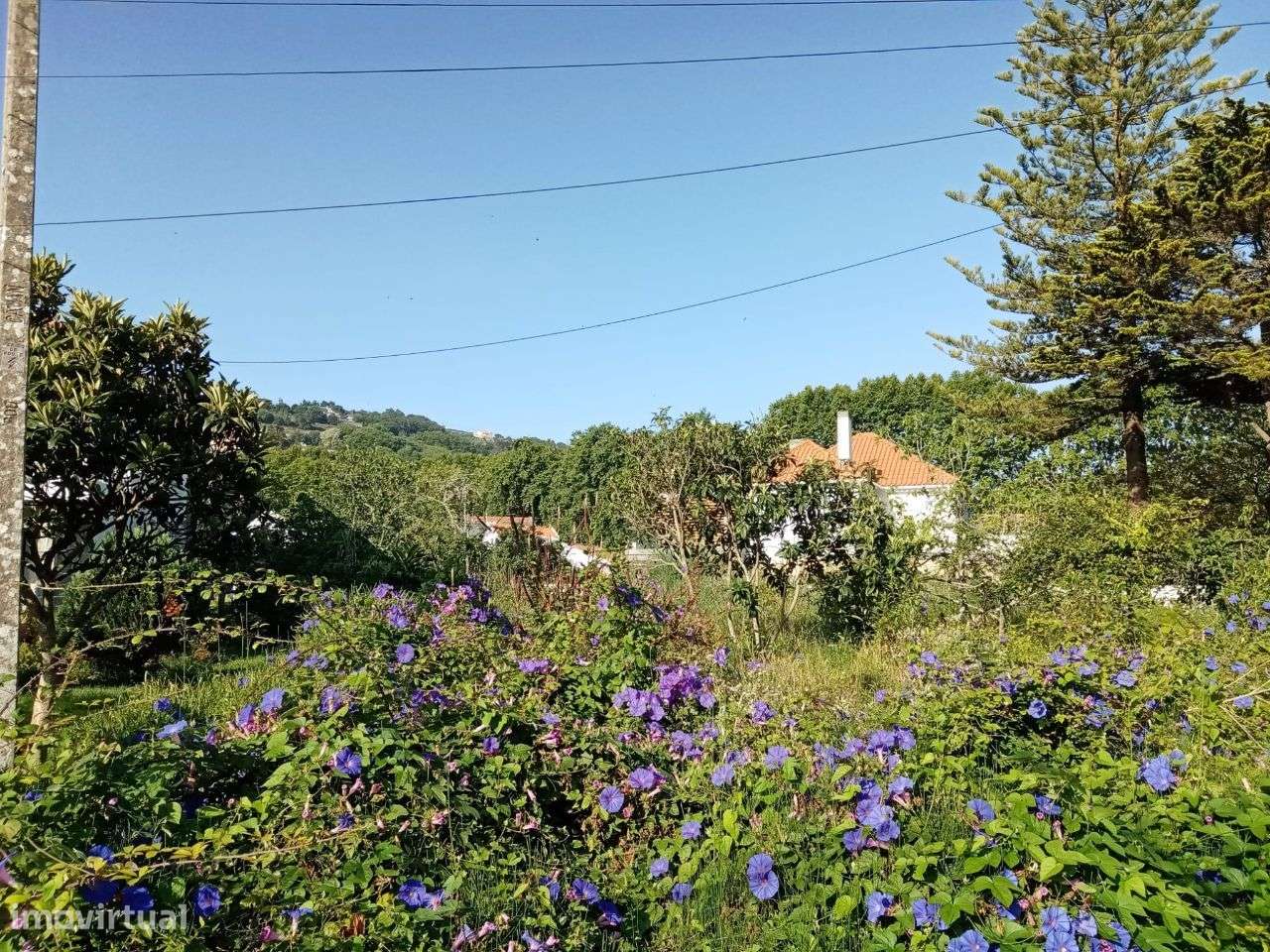 Terreno urbano em Colares-10