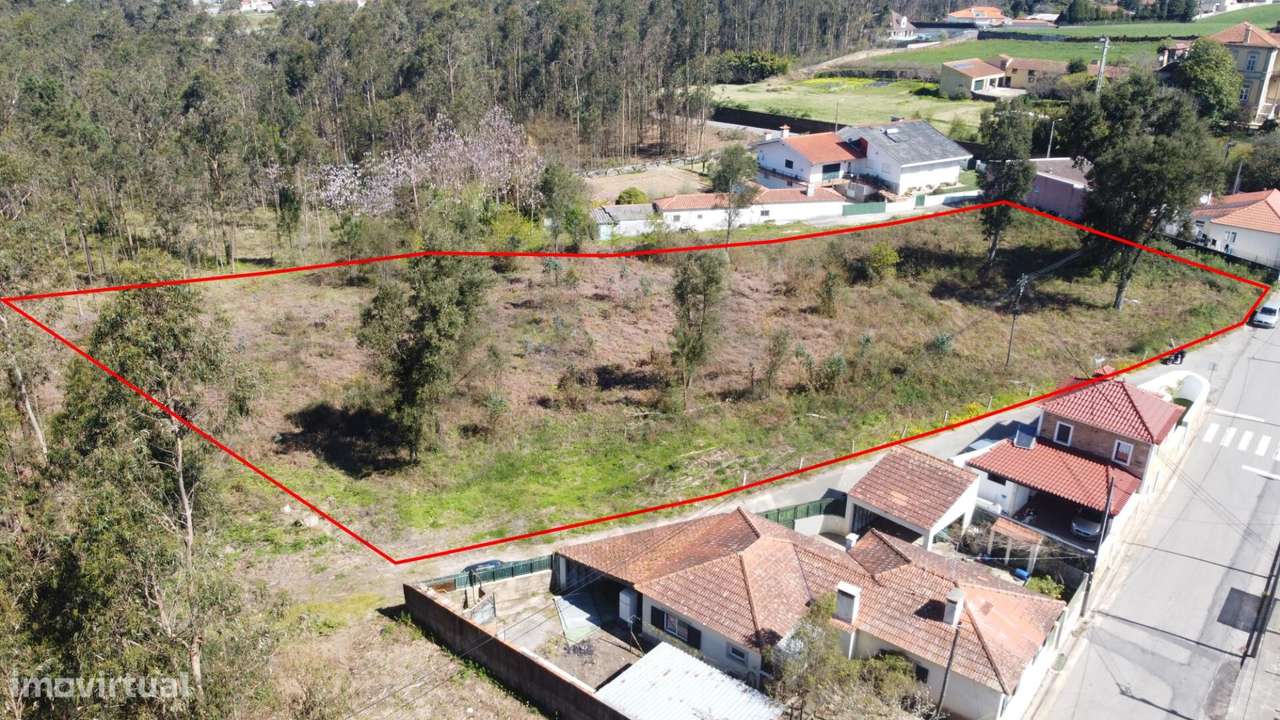 Oportunidade Única! Terreno para Construção em S. Martinho da Gândara - Grande imagem: 4/23