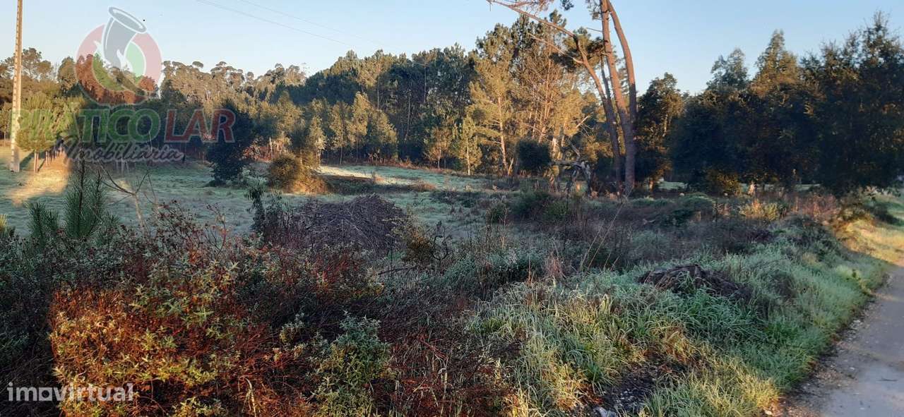 Terreno c viabilidade p construção Oliveira do Bairro - Grande imagem: 1/11