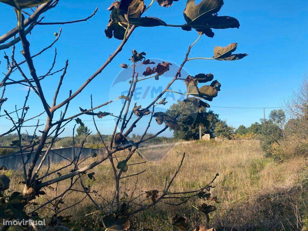 TERRENO EM ZONA DE CONSTRUÇÃO DE MORADIAS