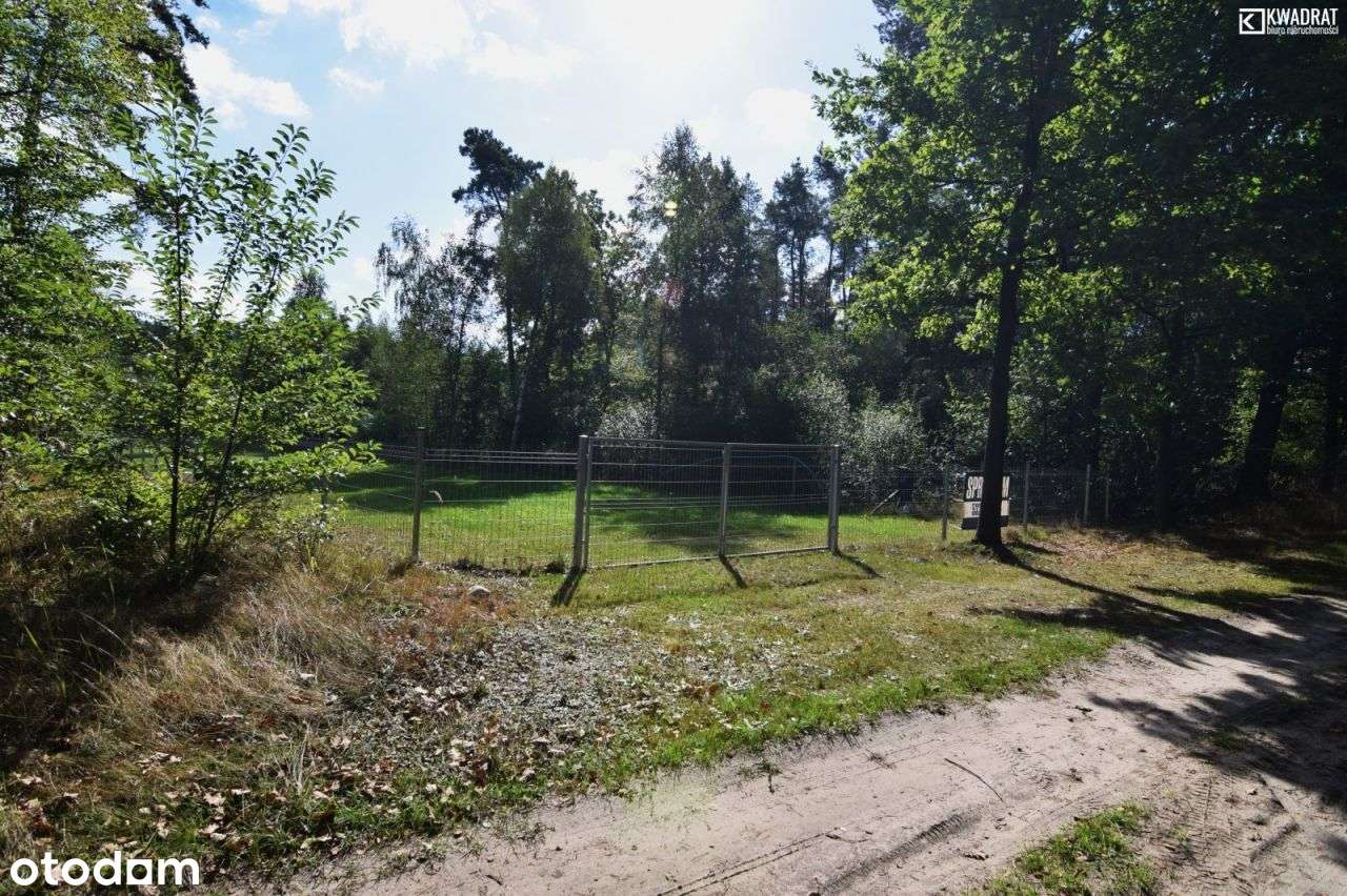 Działka o pow. 20ar/Tyśmienica, gm. Parczew - Pełny obrazek: 4/6