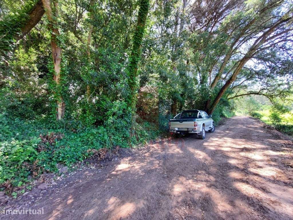 Terreno Rústico com 5.900 m² junto ao Rio Arnóia-5