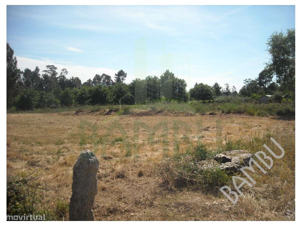 Terreno em Arão! - Grande imagem: 5/6