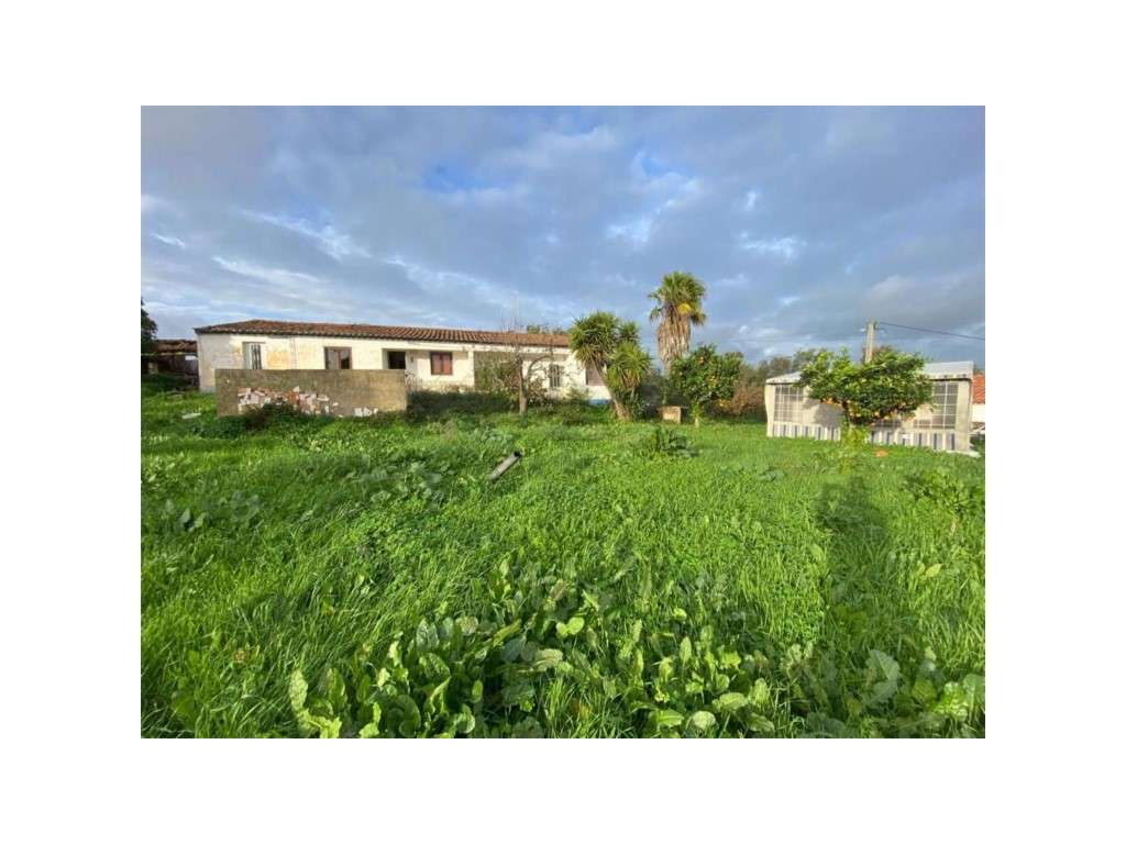 EXCLUSIVO! Quinta com Enorme Potencial no Coração do Alentejo Um Re...-21