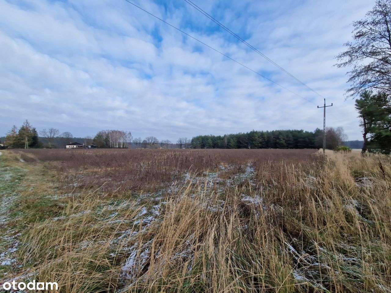 Atrakcyjne działki w Grabach gm. Czerniejewo - Pełny obrazek: 4/11