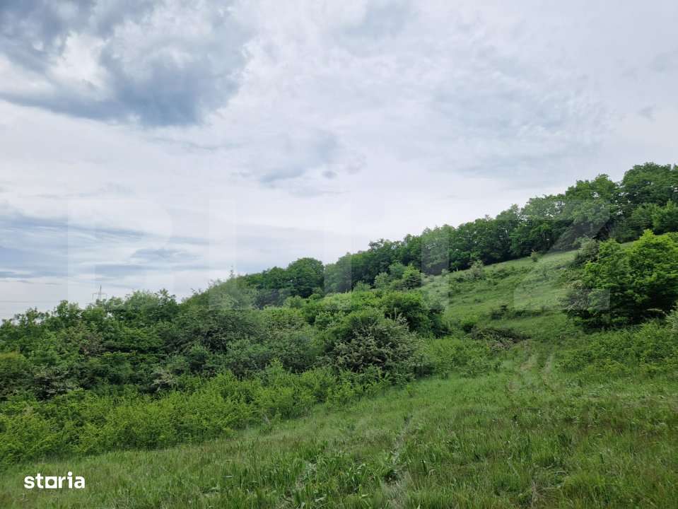 Teren extravilan de vanzare Vlaha 15.000 mp, zona superba, ideal pentr - Imagine principală: 2/3