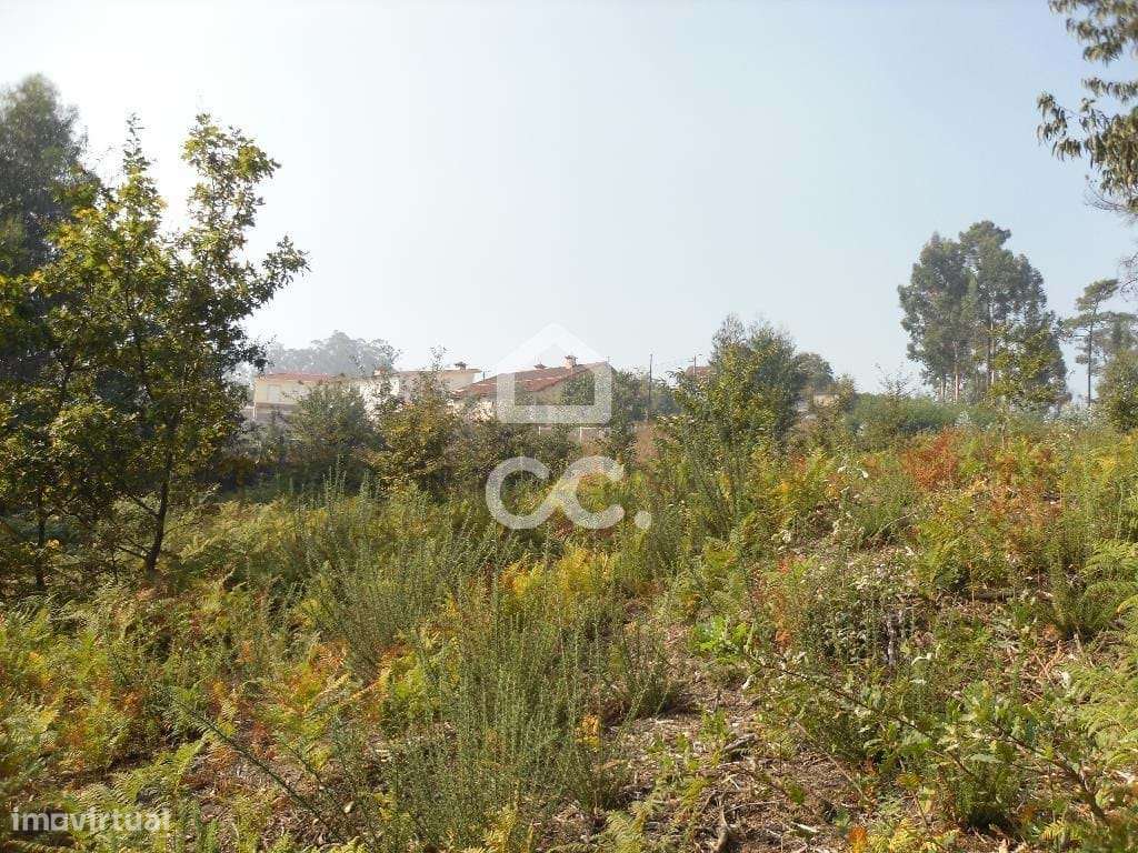 Terreno para moradia - Terreno - Grande imagem: 2/20