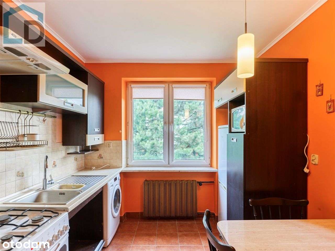 Bliźniak blisko Hulanki-8