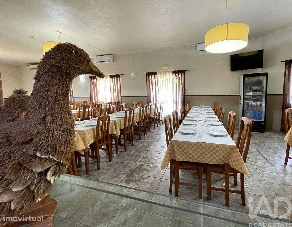 Loja / Estabelecimento Comercial em Madalena e Beselga de 593,00 m2 - Grande imagem: 4/29