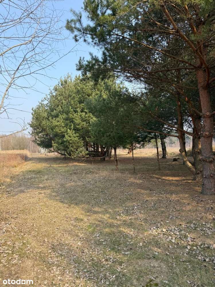 Działka pod dom, Wz, Miąse - Pełny obrazek: 2/3