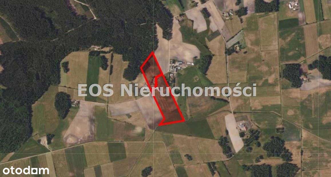 Działka, 78 726 m², Sztabin-0