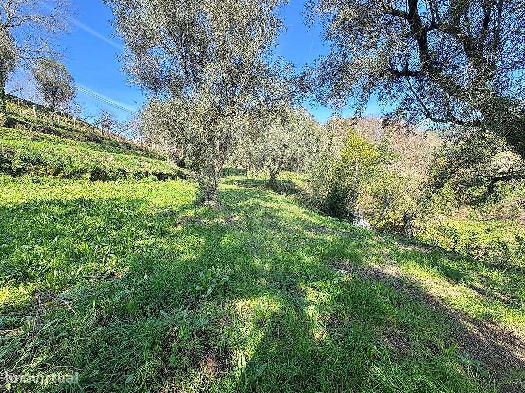 Terreno  para venda-10