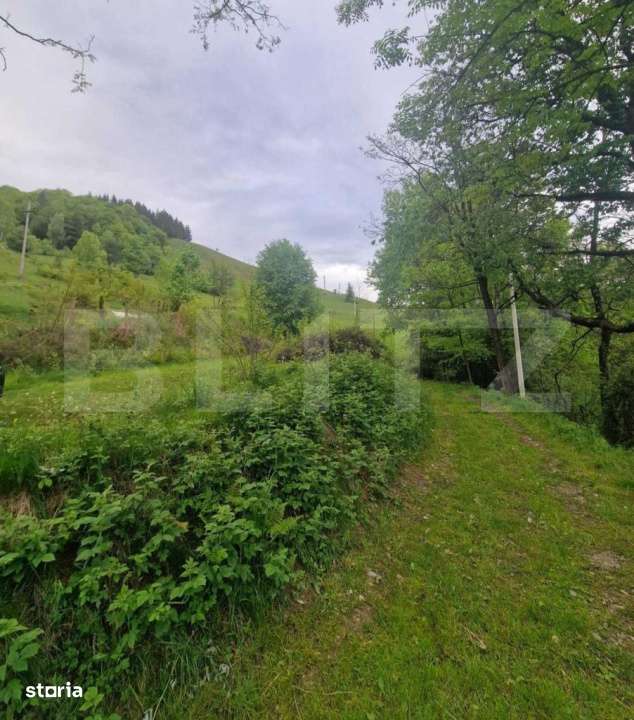 Teren intravilan de 1585 mp, Campeni - Imagine principală: 5/6