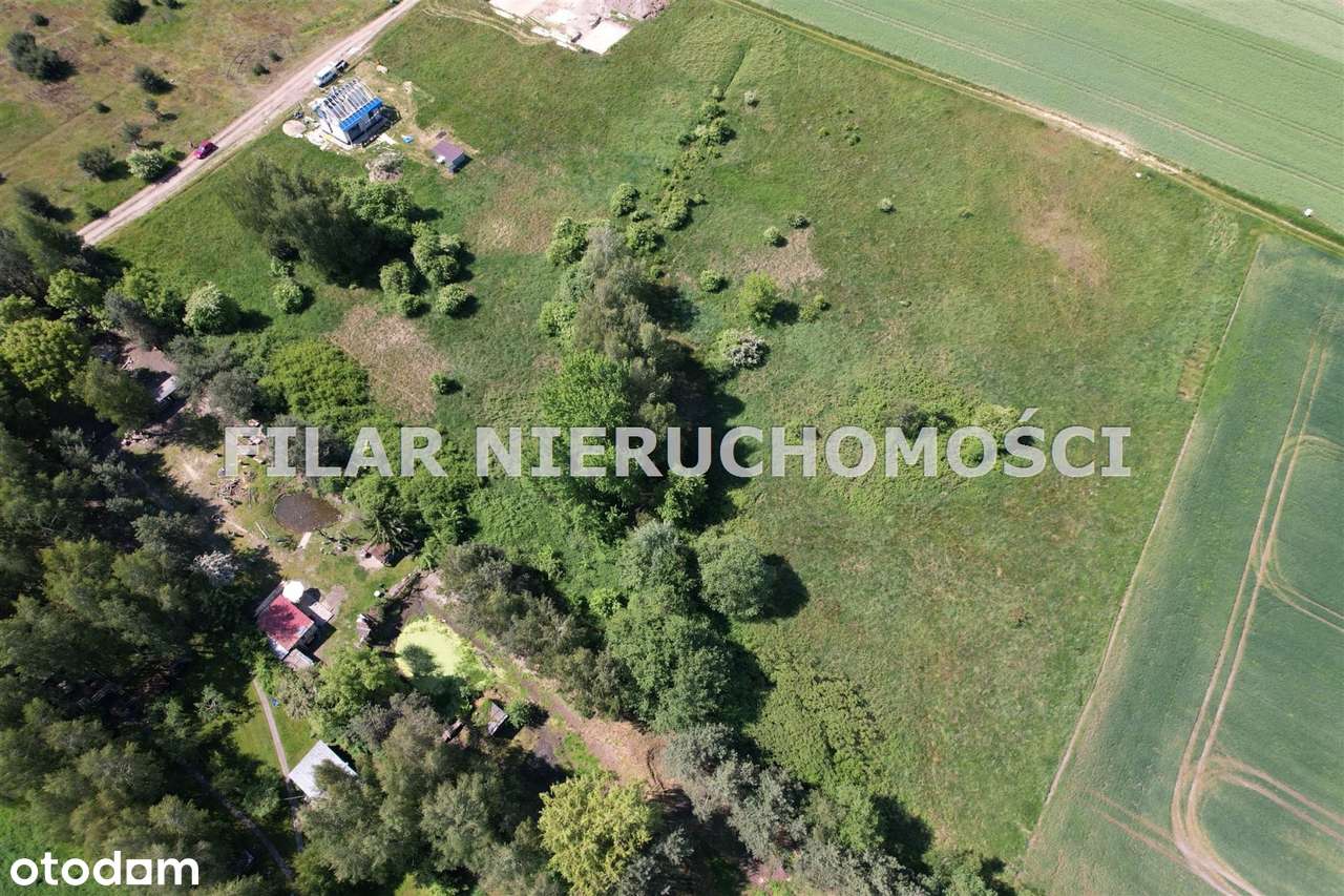 Działka budowlana w Chróstniku 40 arów - Pełny obrazek: 4/13