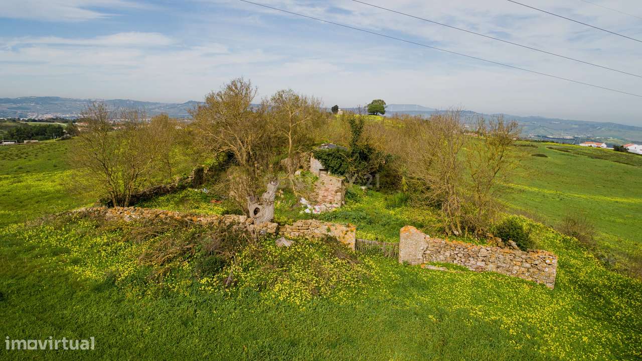 Quinta - 25 hectares-11