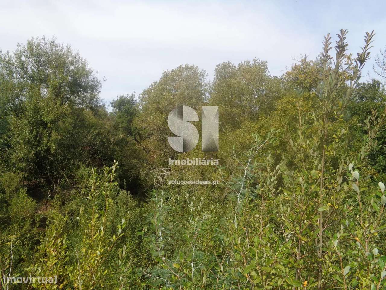 Terreno em Vila nova de poiares - Grande imagem: 4/16