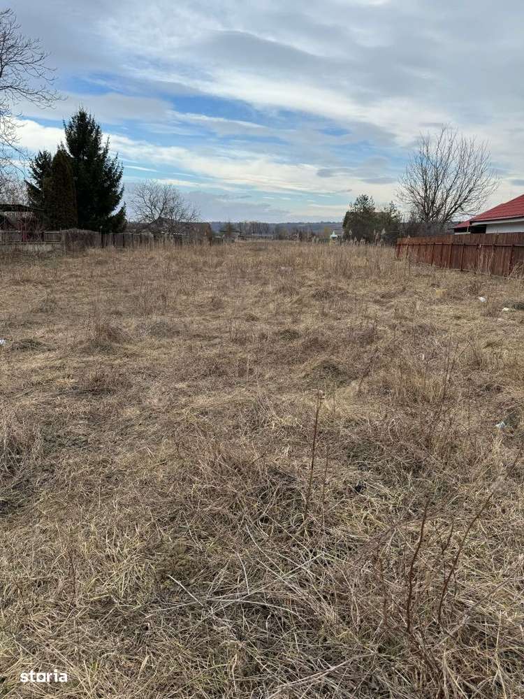 Vand teren intravilan Aleea Coleneilor Comuna Hemeiusi - Imagine principală: 5/13