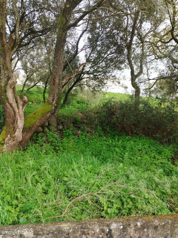 Terreno à venda em Sintra - Grande imagem: 3/3