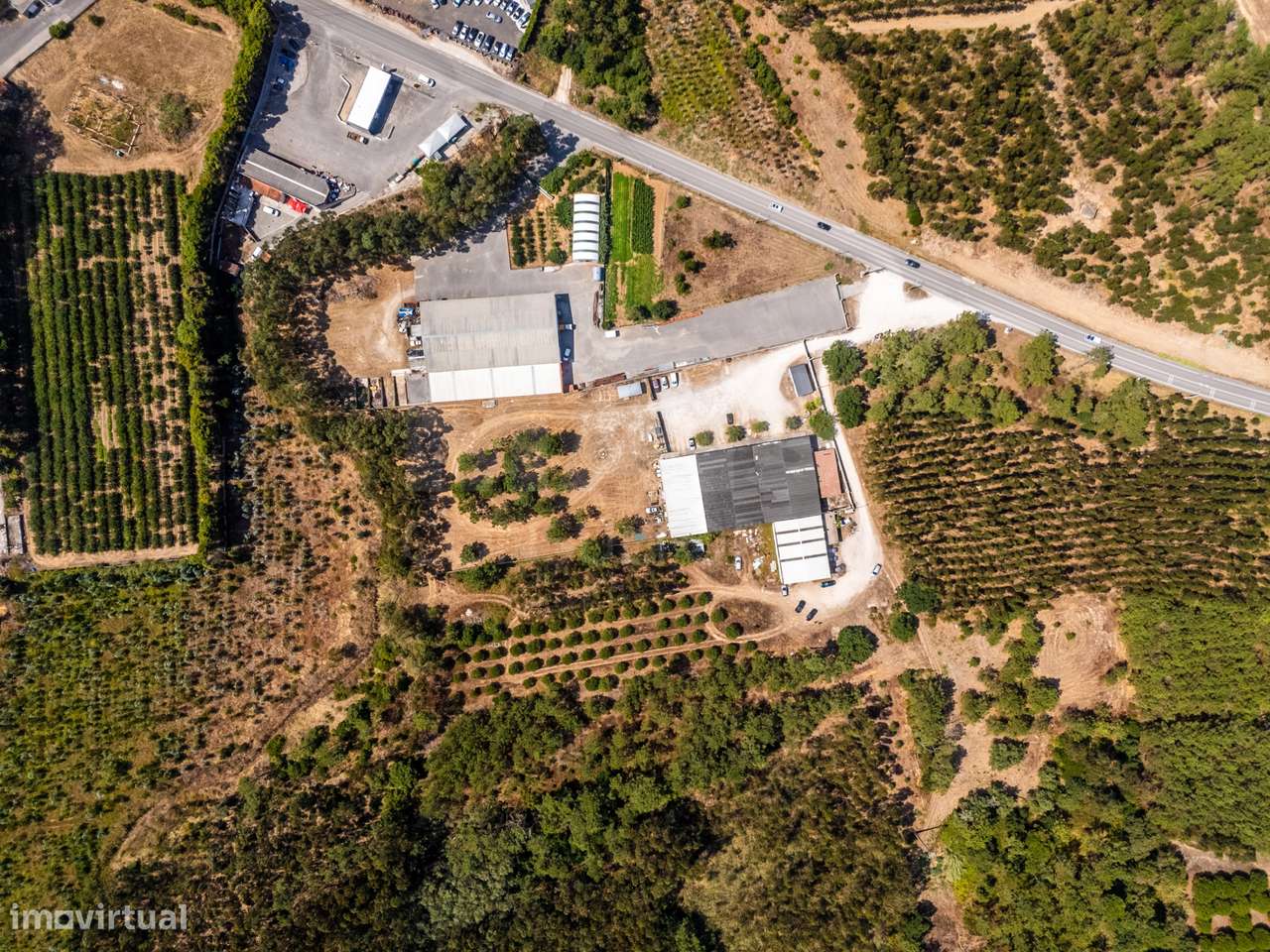 Terreno com 7950m2, perto das praias da Nazaré e São Martinho do Porto - Grande imagem: 4/15