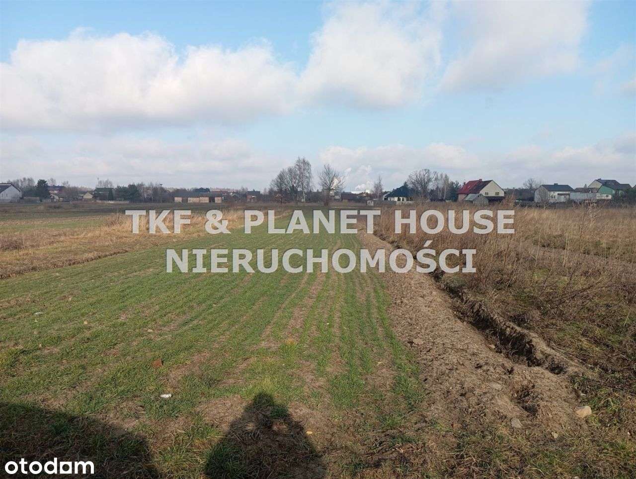 Działki rolne na sprzedaż Opoczno - Pełny obrazek: 4/6